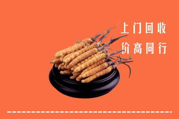 附近收购：淮安区冬虫夏草回收多少钱每克
