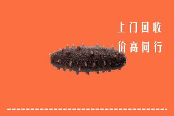附近收购：淮安区回收海参